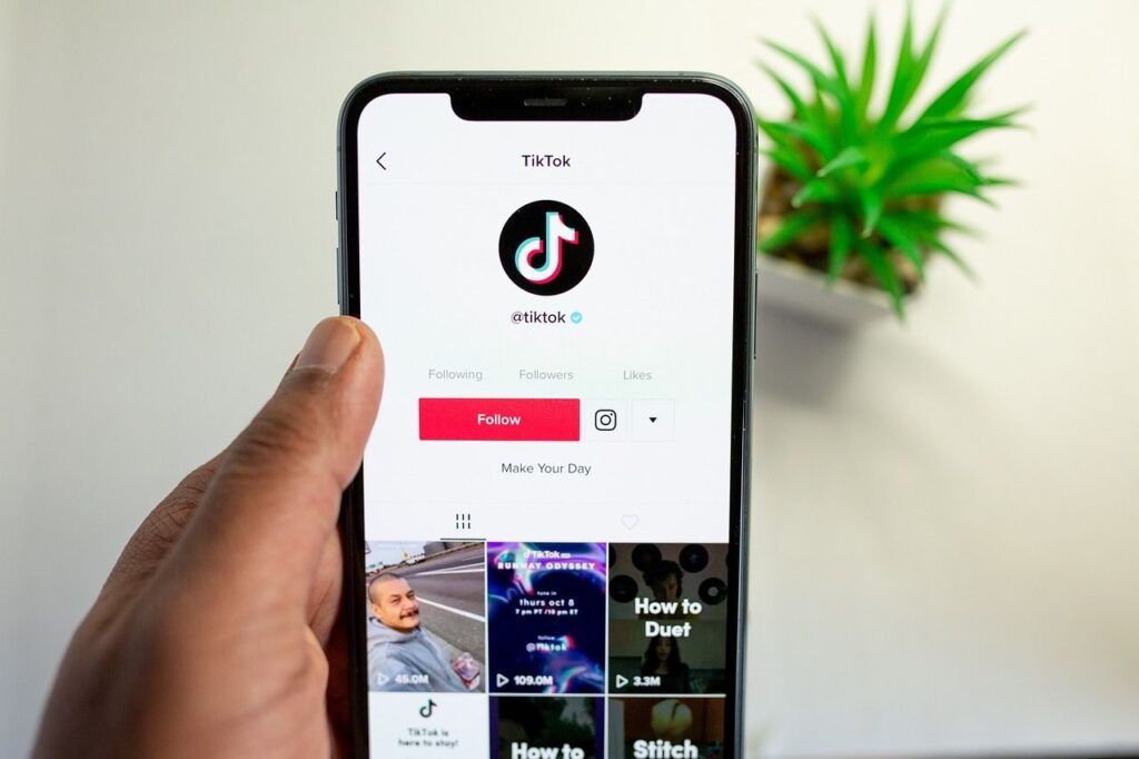 generatore di follower tiktok